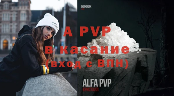прущие крисы Абаза